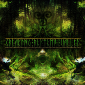 Creaking Rhythms Valley