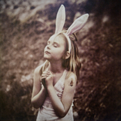 El libro de los árboles mágicos