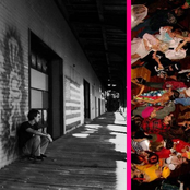 Running to Beat the Wolves