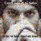 Primate King Vs. DJ Shadow: Outside the Beats, Freaks & Organs