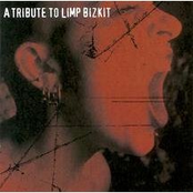 A Tribute To Limp Bizkit Album Picture