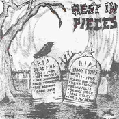 Rest in Pieces Split