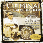 Mr. Criminal: Stay on the Streets