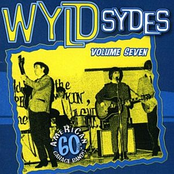 Wyld Sydes Vol 7