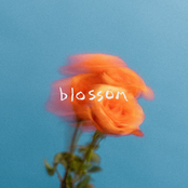 The Summer Set: Blossom