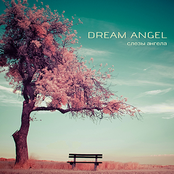 Слезы ангела