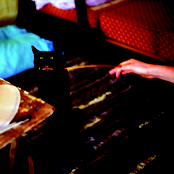 My Dead Cat - s/t (2010) - free download at www.mydeadcat.cz