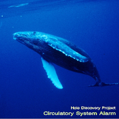 Circulatory System Alarm