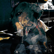 PRZEGINKA (freestyle)