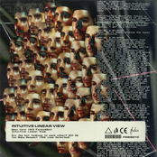 Intuitive Linear View