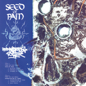 Seed Of Pain / Demonstration Of Power Split