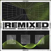 Bad Boy Steppa (Gray Remix)