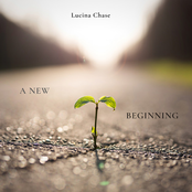 A New Beginning