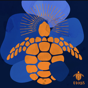 This is Caribbean House, Vol.3