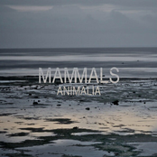 Circles by Mammals