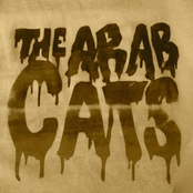 the arab cats