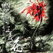 Blossom of Roaring Justice