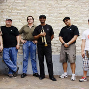 the duane carter band