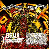split with BLUE HOLOCAUST