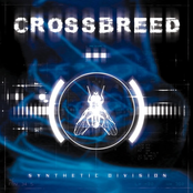 Crossbreed: Synthetic Division