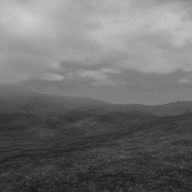 Black Panthers Scream