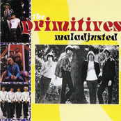 Tell Your Friend by The Primitives