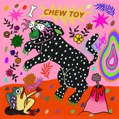Chew Toy