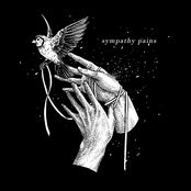Sympathy Pains - Single