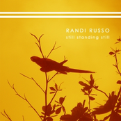Various songs - released and unreleased material