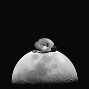 Songs for Disappearing