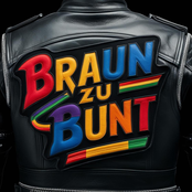 BRAUN ZU BUNT