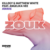 Awake (feat. Angelika Vee) - Single