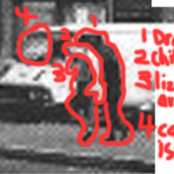 anti social darwinism