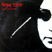 The 35th Human Attempt