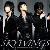 skywings