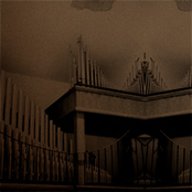 The Ecstatic Half-Life