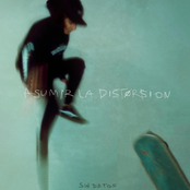 ASUMIR LA DISTORSIÓN