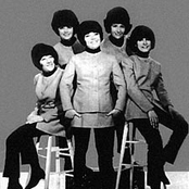 les beatlettes