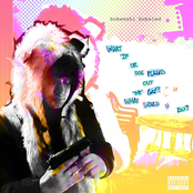 what if ur dog pulled out the gat? what would u do?