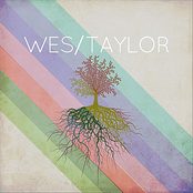 Wes Taylor