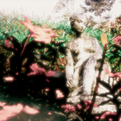 pq vc n olha mais pra mim???