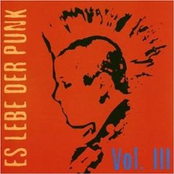 Es Lebe Der Punk Vol. 3