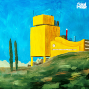 Gone Down Meadowland