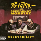 Mobstability