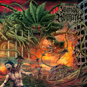 420 Hybrid Genetic Devastational Collapse