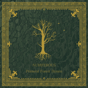 Primeval Forest Hymns