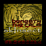 skInsect ~ reskInned