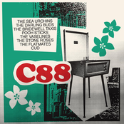 The Reserves: C88