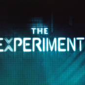 the experiment