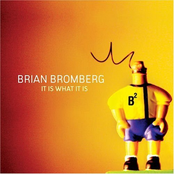 Brian Bromberg: It Is What It Is